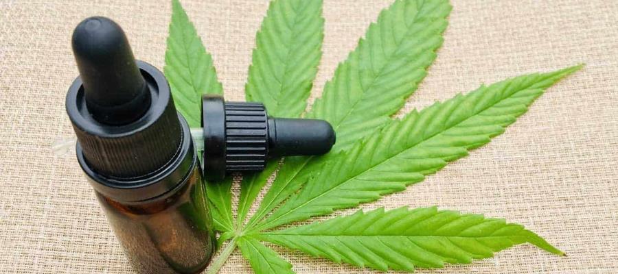 Publica SCJN fallo que avala la despenalización del uso lúdico y recreativo de la marihuana Publica SCJN fallo que avala la despenalización del uso lúdico y recreativo de la marihuana