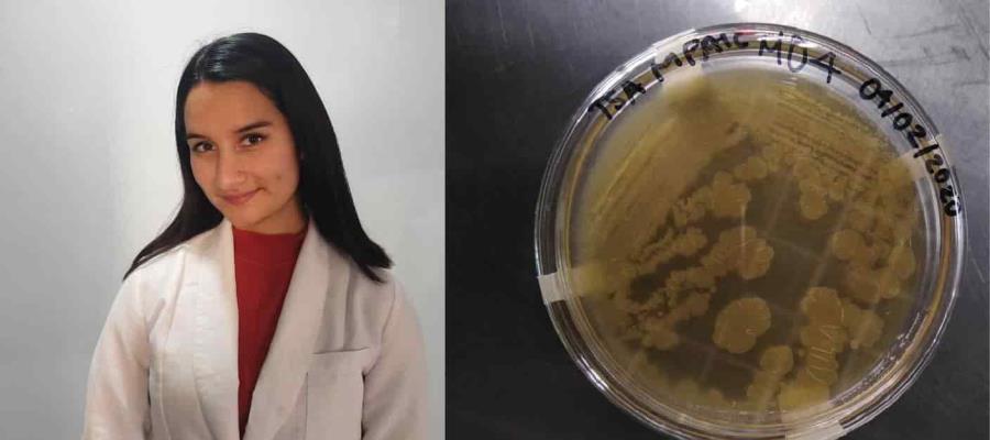 Reconocen a estudiante del Poli por método para limpiar el suelo de metales pesados con microorganismos