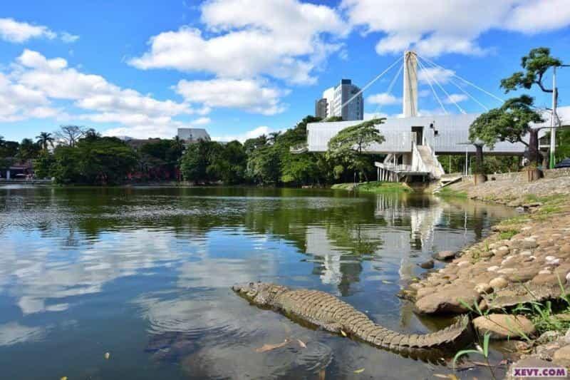 Laguna de las Ilusiones está agonizando por contaminación y rellenos: Conagua