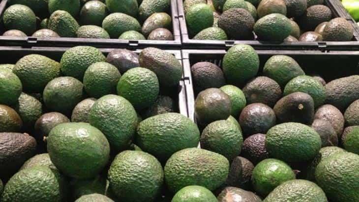 Repunta precio del aguacate en Tabasco… ante conflictos en carreteras en Michoacán