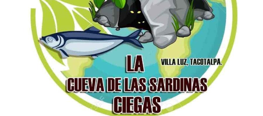 Lanzan campaña para salvar la Cueva de la Sardina; recaudarán fondos y expondrán el caso en Palacio Nacional