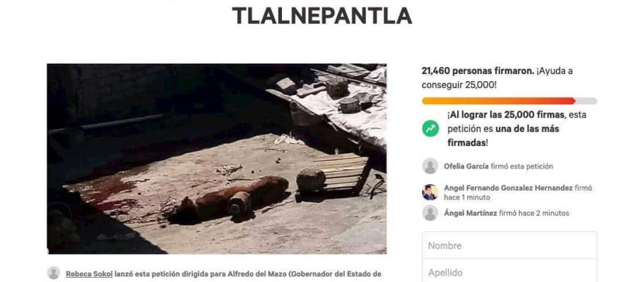Piden firmas en Change.org para que hagan justicia a perrito acuchillado en Tlalnepantla