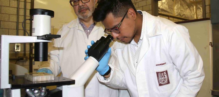 Descubren científicos del IPN biomarcador para detección temprana del cáncer de mama