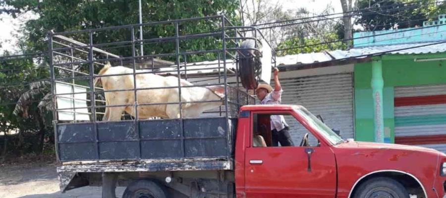 Ladrones roban camioneta y herramientas a alcaldesa electa de Jalpa