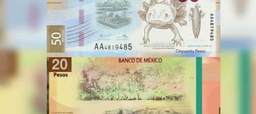 Dirían adiós Juárez y Morelos a los nuevos billetes de 20 y 50 pesos