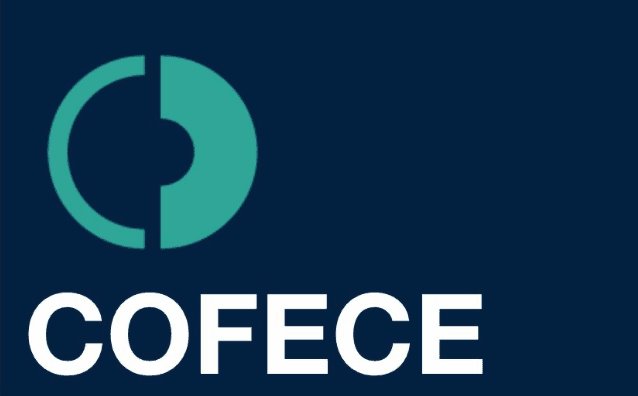 Anuncia Alejandra Palacios que dejará la Cofece el 9 de septiembre