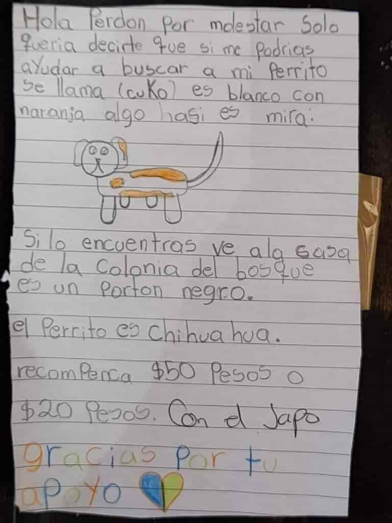 Niña hace cartel para encontrar a su perrito perdido; se viraliza en redes