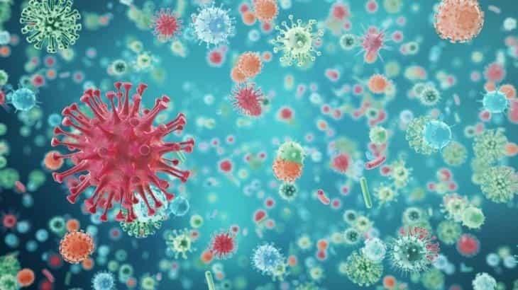 OMS reconoce 12 variantes del SARS-CoV 2 en el mundo