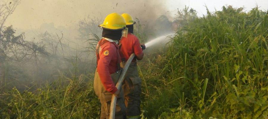 Sin resolverse denuncia por incendios en la Laguna del Negro interpuesta hace tres años