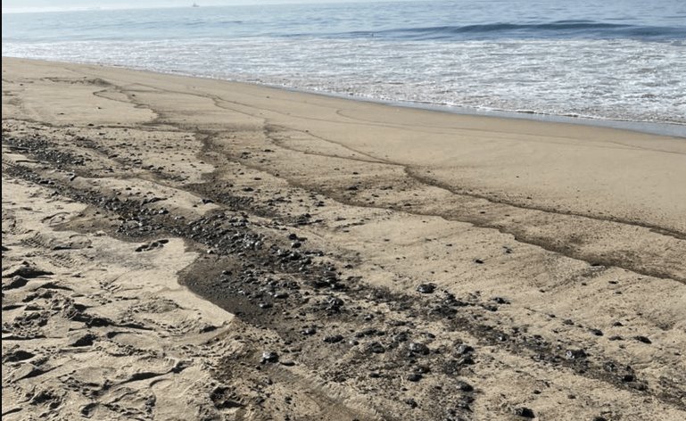 Derrame de crudo en costas de California causa desastre ambiental