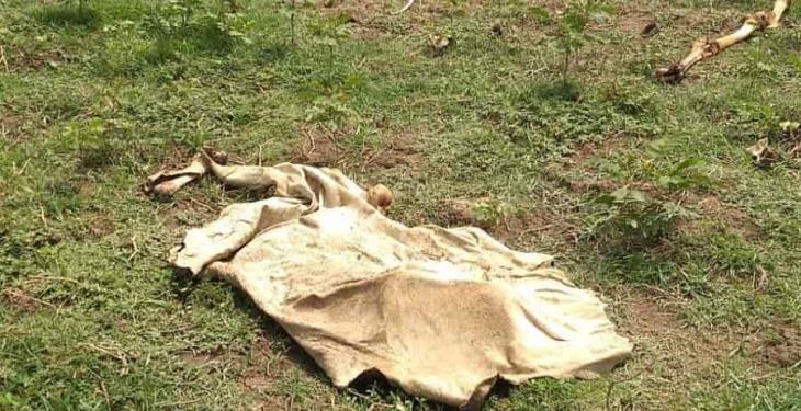 Piden ganaderos de Jalpa apoyo a SADER ante mortandad de ganado