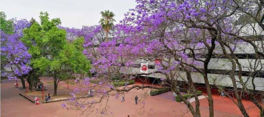 Dan nueve años de prisión a profesor universitario de la CDMX por abuso sexual