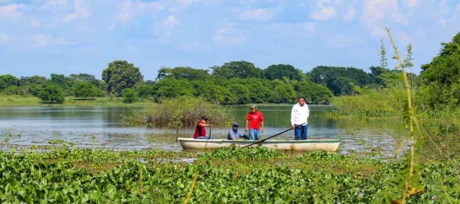 Reporta Ayuntamiento de Balancán muerte de manatí en laguna “Leona Vicario”