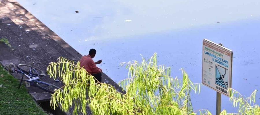 Diseña Bienestar Tabasco nuevo proyecto para rescatar la Laguna de las Ilusiones