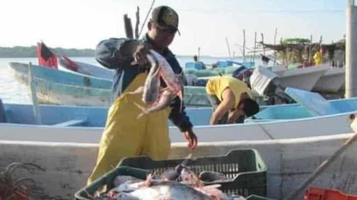Estudio advierte sobre la afectación en la pesca por el calentamiento de los mares mexicanos Estudio advierte sobre la afectación en la pesca por el calentamiento de los mares mexicanos