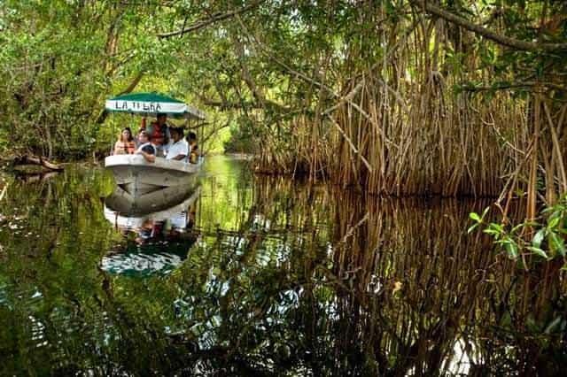 AMAV ofrecerá tres rutas turísticas para Semana Santa en Tabasco