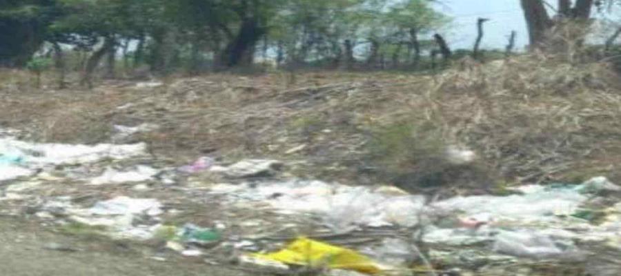 Localizan en Teapa 14 basureros a cielo abierto Localizan en Teapa 14 basureros a cielo abierto