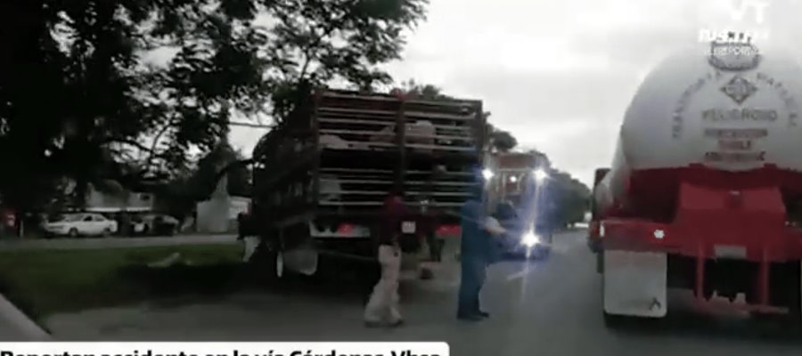 Se vuelca tráiler con cerdos en la Cárdenas-Villahermosa