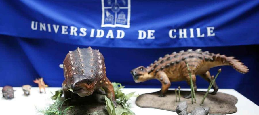 Descubren en Chile nueva especie de dinosaurio acorazado