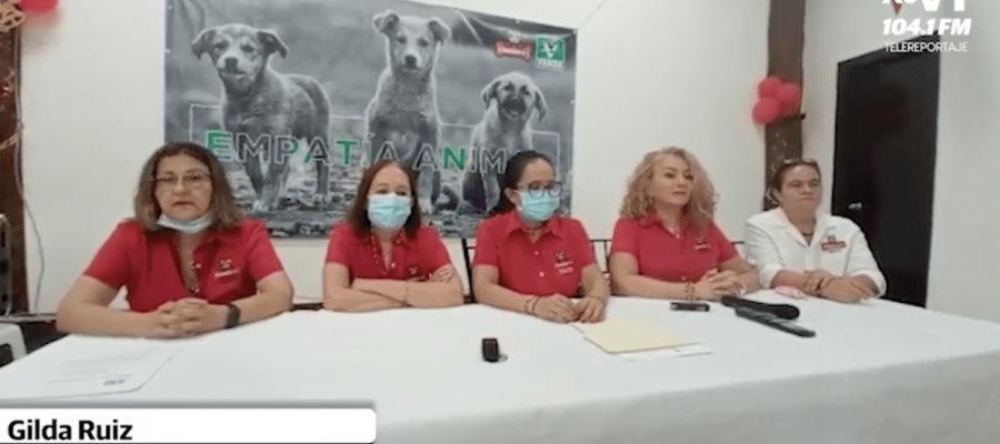 Insiste Caninos 911 en adoptar y no comprar perros en esta temporada