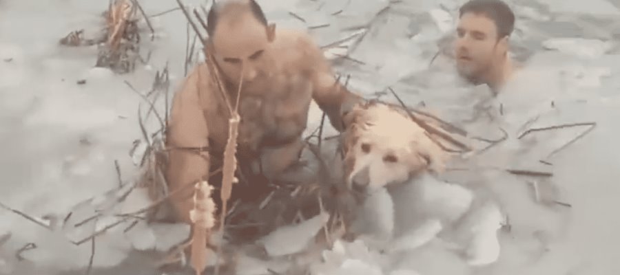 Policías en España ingresan a lago congelado para salvar a can atrapado