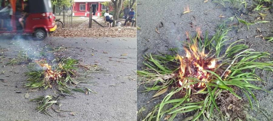 Cohete incendia copa de una Ceiba en Jalpa