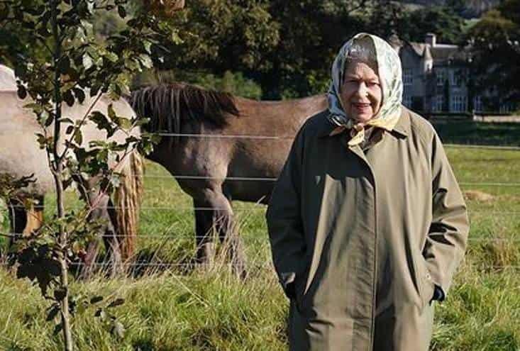 ¿Por qué canceló la reina Isabel II su tradicional viaje a Sandringham? ¿Por qué canceló la reina Isabel II su tradicional viaje a Sandringham?