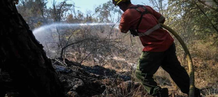Condenan a 5 años de cárcel a bombero que causó incendio en Guadalajara Condenan a 5 años de cárcel a bombero que causó incendio en Guadalajara