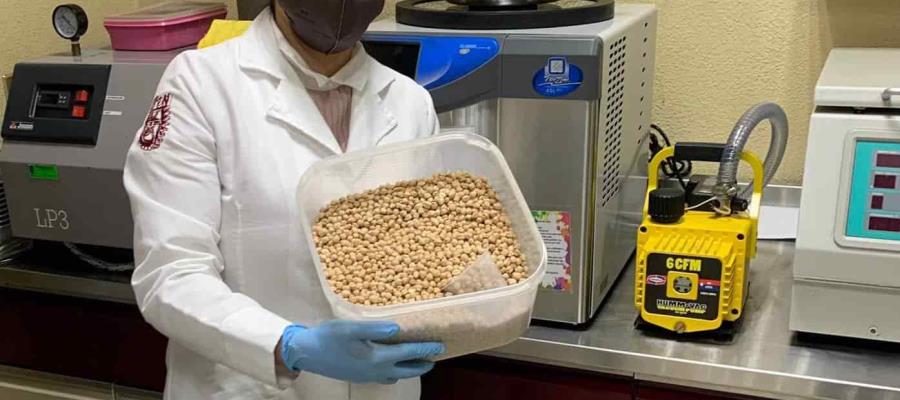 Investiga IPN actividad protectora del garbanzo contra cáncer de colon