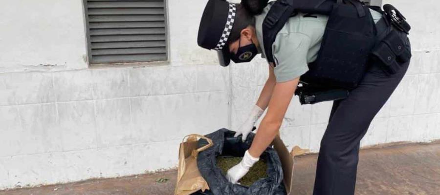 Aseguran caja con varios kilos de aparente marihuana en Guadalajara