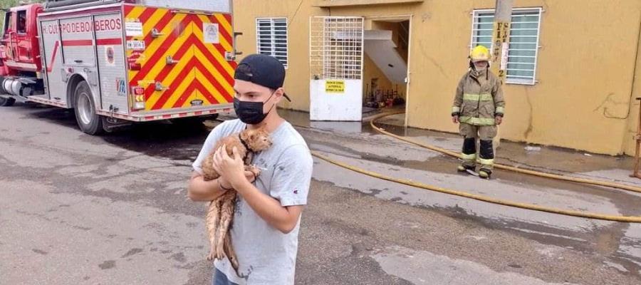 Rescatan a gato de incendio en vivienda de Gaviotas Norte