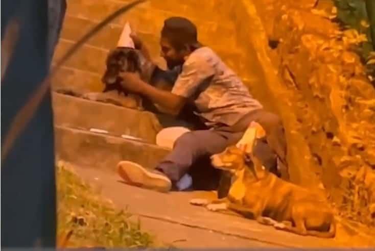 Con gorritos y pastel, indigente festeja cumpleaños a sus perros Con gorritos y pastel, indigente festeja cumpleaños a sus perros