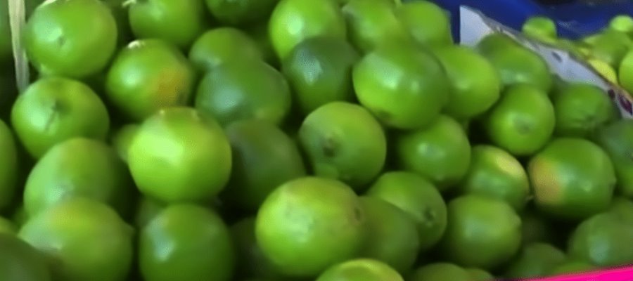 Se eleva hasta 90 pesos el kilo del limón en Michoacán Se eleva hasta 90 pesos el kilo del limón en Michoacán