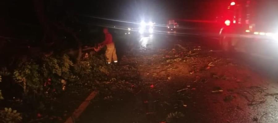Caídas de árboles y colonias sin energía dejan lluvias de últimas horas en 3 municipios de Tabasco Caídas de árboles y colonias sin energía dejan lluvias de últimas horas en 3 municipios de Tabasco