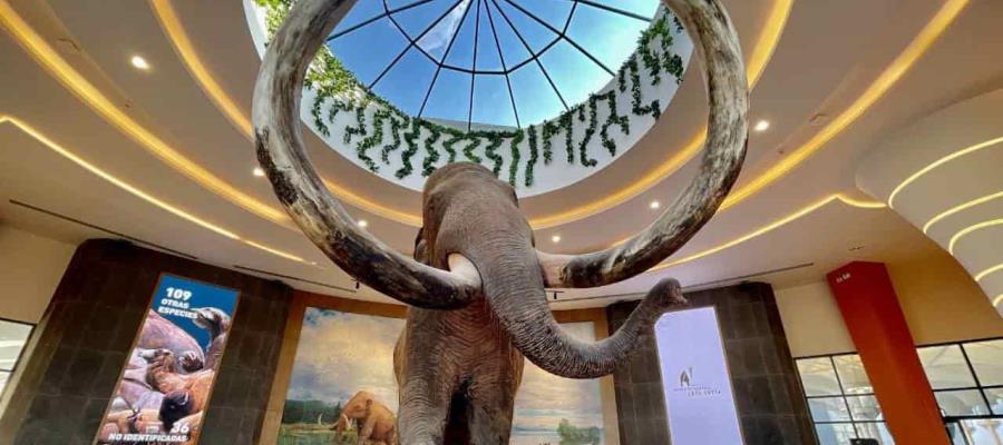 Inauguran oficialmente Museo del Mamut en el AIFA