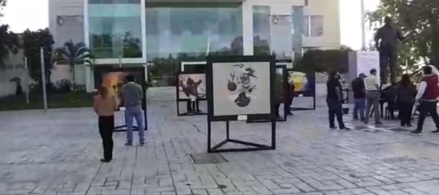 Conferencias, mesas poéticas, danza, se esperan para este jueves en ‘Jornadas Pellicerianas’ Conferencias, mesas poéticas, danza, se esperan para este jueves en ‘Jornadas Pellicerianas’