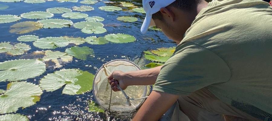 Buscan alumnos y maestros de la UJAT proteger biodiversidad del río San Pedro