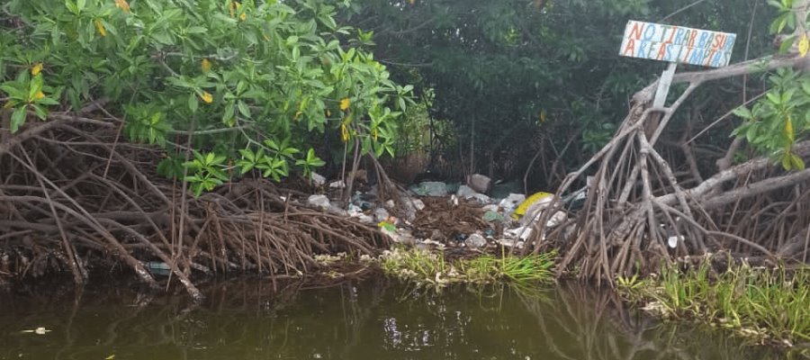 Habilitan basureros en manglares de Paraíso, denuncian cooperativistas