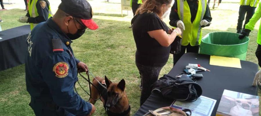 Detienen a joven con 150 dosis de droga en festival de música en CDMX