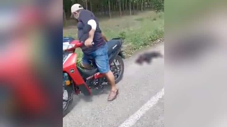 Agresor de canino en Tacotalpa, laboraría en el ayuntamiento ventila Miguel Moheno Agresor de canino en Tacotalpa, laboraría en el ayuntamiento ventila Miguel Moheno