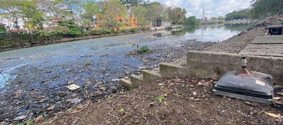 Conagua recibió recursos extraordinarios en 2022, puede atender Laguna de Las Ilusiones: diputado federal