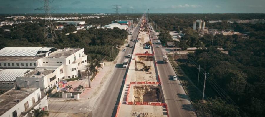 Talan más de 20 mil árboles para dar paso al Tren Maya: MCCI