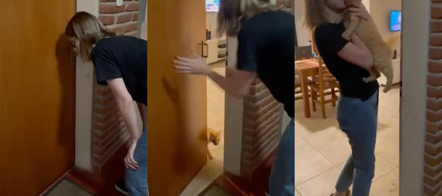 Olvidó las llaves de su casa… y su gato le abre la puerta