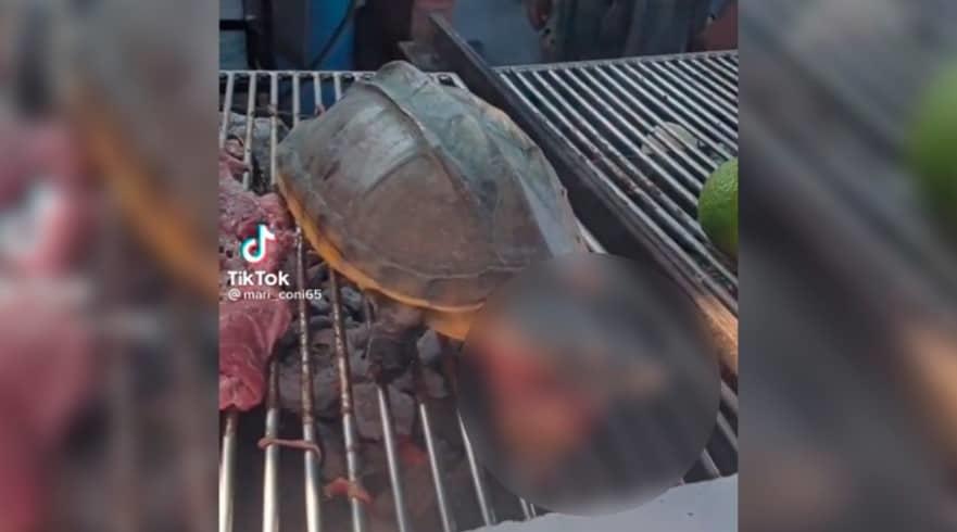 Condenan en redes video en donde cocinan a guao vivo, presuntamente en Tabasco