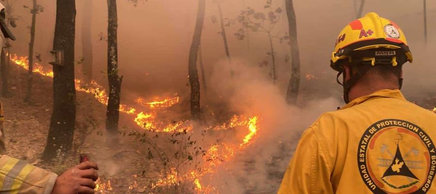 Causante del incendio en bosque de Jalisco ya fue detenido