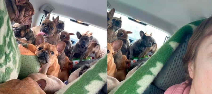 Mujer rescata a sus perritos, tras abandonarlos por la guerra en Ucrania