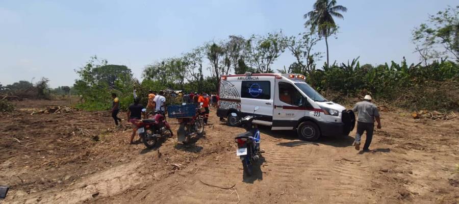 Mueren 2 hombres aplastados, por árbol que podaban… en Plátano y Cacao