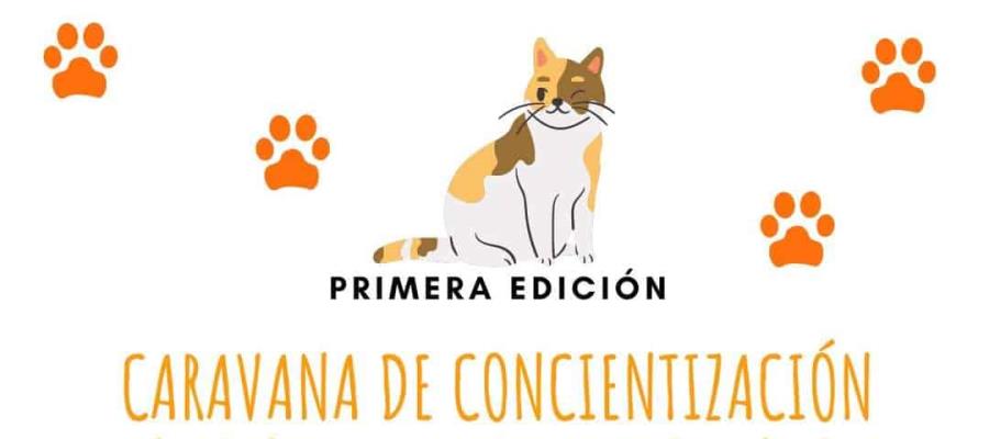 Convocan a caravana contra el maltrato animal… en Cunduacán