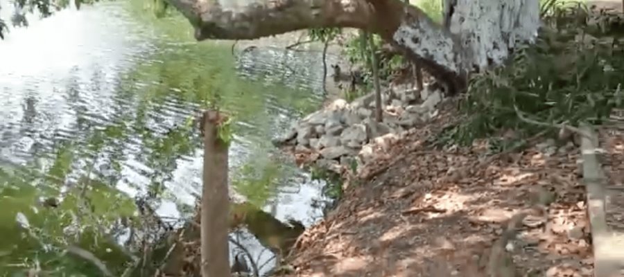 El ayuntamiento de Centro puede estar recibiendo ‘mochada’, para no sancionar rellenos en laguna de Las Ilusiones, sugiere JMF