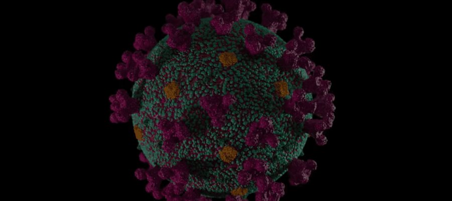 Detectan nueva variante de COVID-19; sería más transmisible que ómicron: OMS